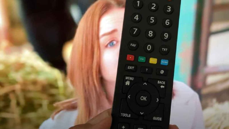 Reyting Sonuçları 26 Kasım 2024 -TV’de en çok ne izlendi?