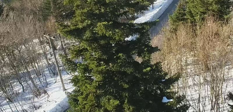 Meteoroloji’den Kocaeli için kar tahmini! Kartepe Kayak Merkezi ve Yuvacık Barajı’nda son durum ne?
