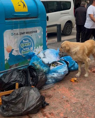 MHP’li başkandan esnaflara çöp çağrısı