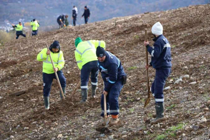 Kocaeli’de binlerce ağaç dikilecek