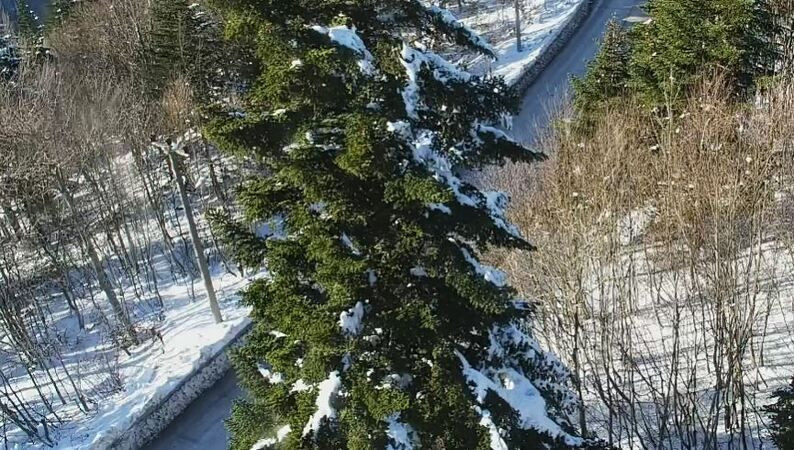 Karların arasından Kocaeli manzarası! Kar yağışı geri dönecek