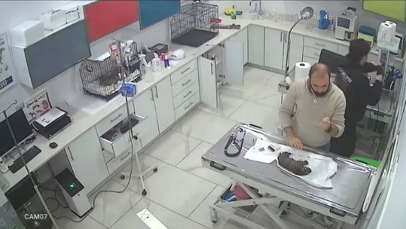 İstanbul'da ölmek üzere olan yavrusunu, veteriner kliniğine götürdü! Bakın sonra neler oldu