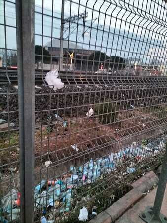 İzmit’te demiryolu alanını çöplüğe çevirdiler!