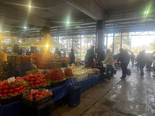 İzmit Perşembe Pazarı’nda yoğunluk! Domatesin fiyatı düştü