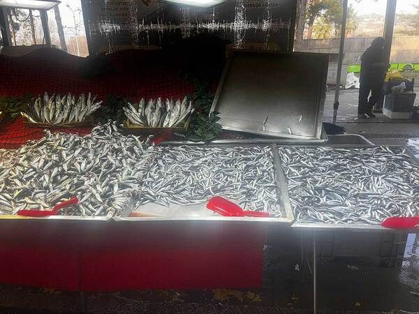 İzmit Perşembe Pazarı’nda yoğunluk! Domatesin fiyatı düştü