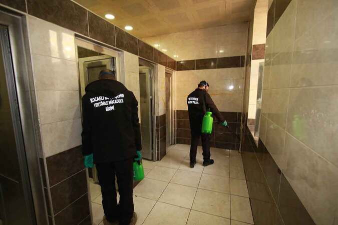 Kocaeli’de haşere ve kemirgenlere karşı harekete geçtiler