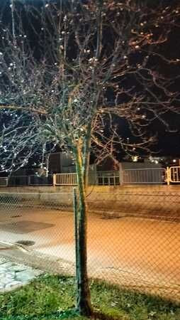 İzmit'te, karların eridiği parkta ortaya çıkan görüntü şaşırttı!