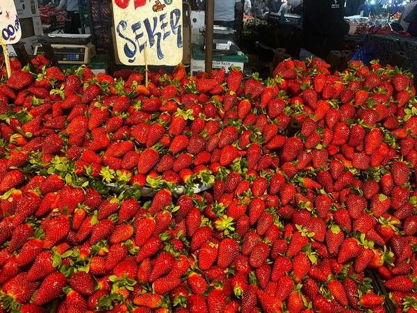 Doğu Kışla’ya Ramazan ayı akını: İşte pazardan güncel fiyatlar