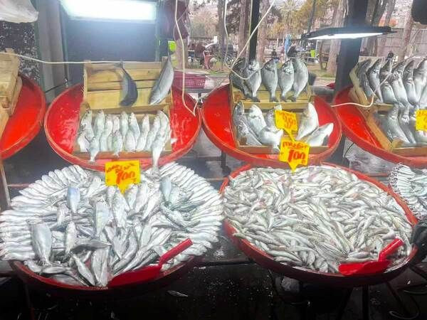 Doğu Kışla’ya Ramazan ayı akını: İşte pazardan güncel fiyatlar