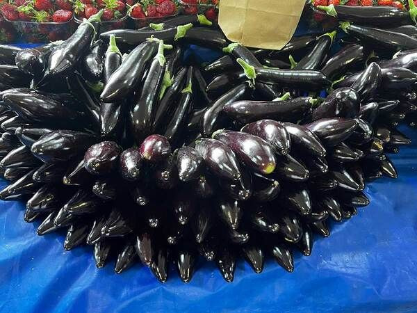 Bayram tatili pazarda fiyatları düşürdü